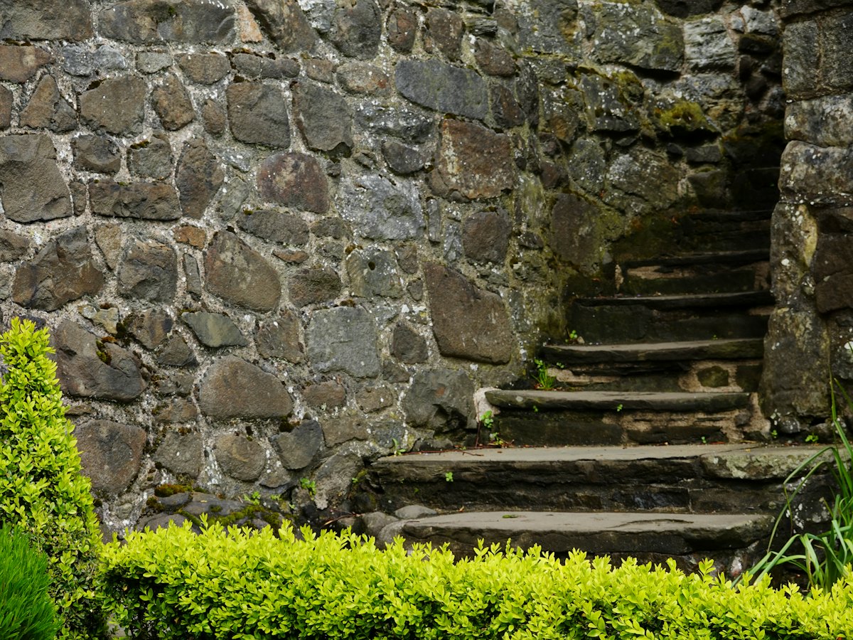 Escalier de pierre ancien bordé de buis