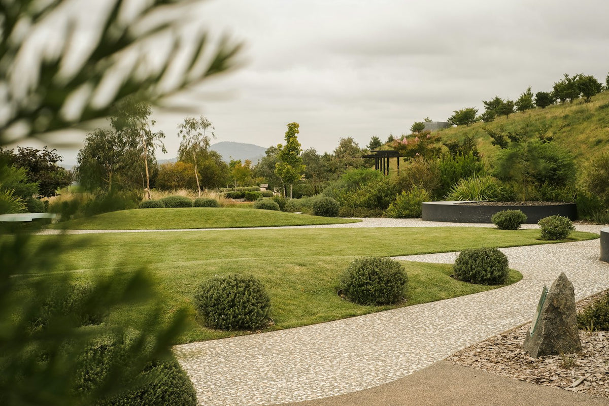 Jardin contemporain, pelouse et allée de gravier