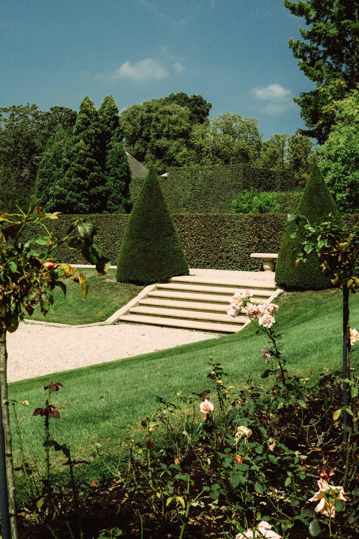 Jardin structuré avec topiaires et escalier